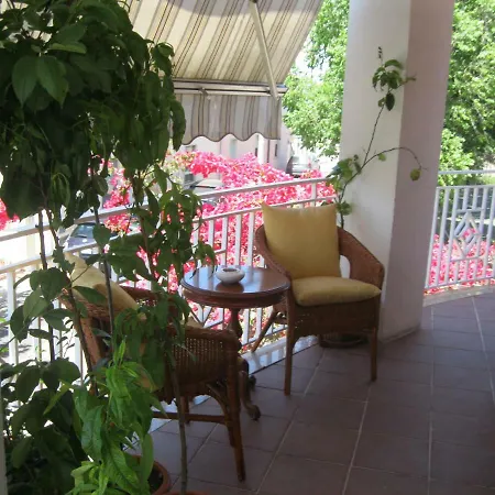 Il Gelsomino 4*