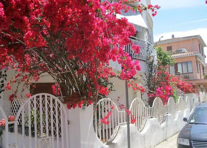Il Gelsomino Bed & Breakfast Olbia