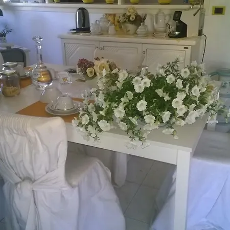 Bed & Breakfast Il Gelsomino Olbia